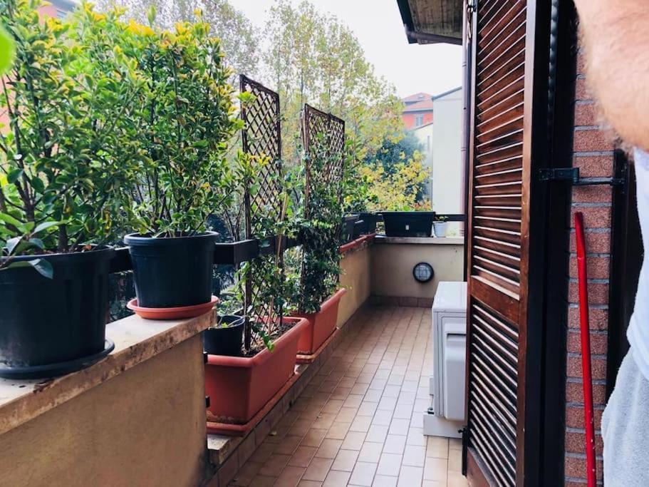 Ketty House B&B - Policlinico Di Monza, U-Power Stadium Exterior foto